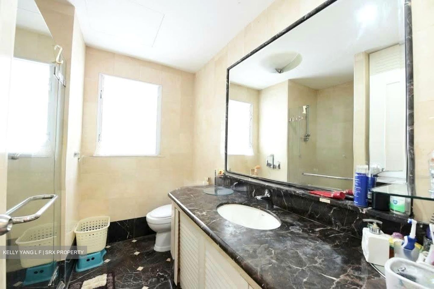 Regency Park (D10), Condominium #534613481